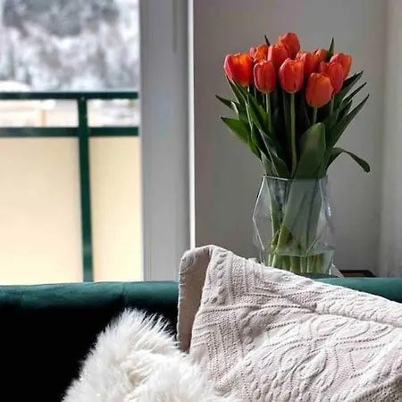 Brand-new, W/ Views * Bad Gastein